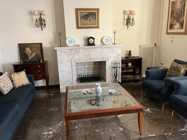 Apartment Spacious And Sunny In Cholargos Athens